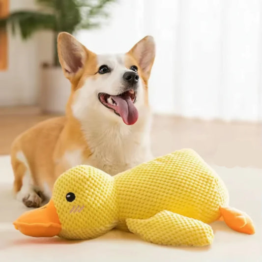 Plush dog toy with quacking sound close-up