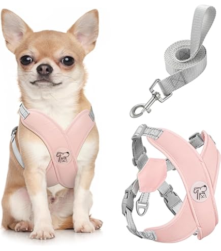 Collars, Harnesses and Leashes