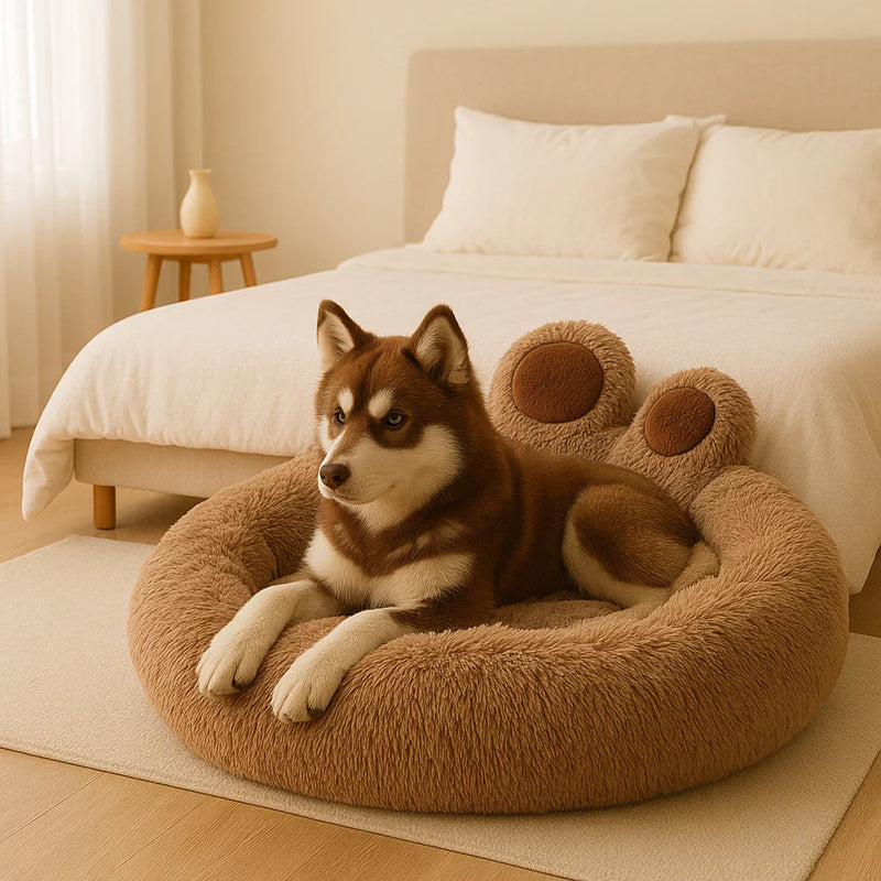 Cozy Spaces for Pets