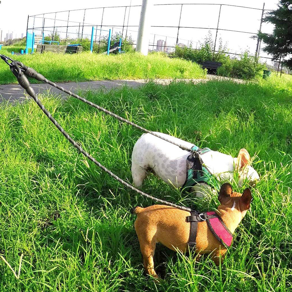 Dual Dog Leash for Walking Two Dogs
