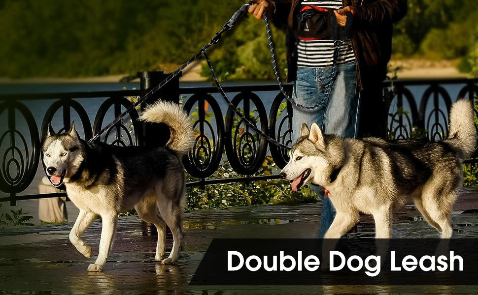 Dual Dog Leash for Walking Two Dogs