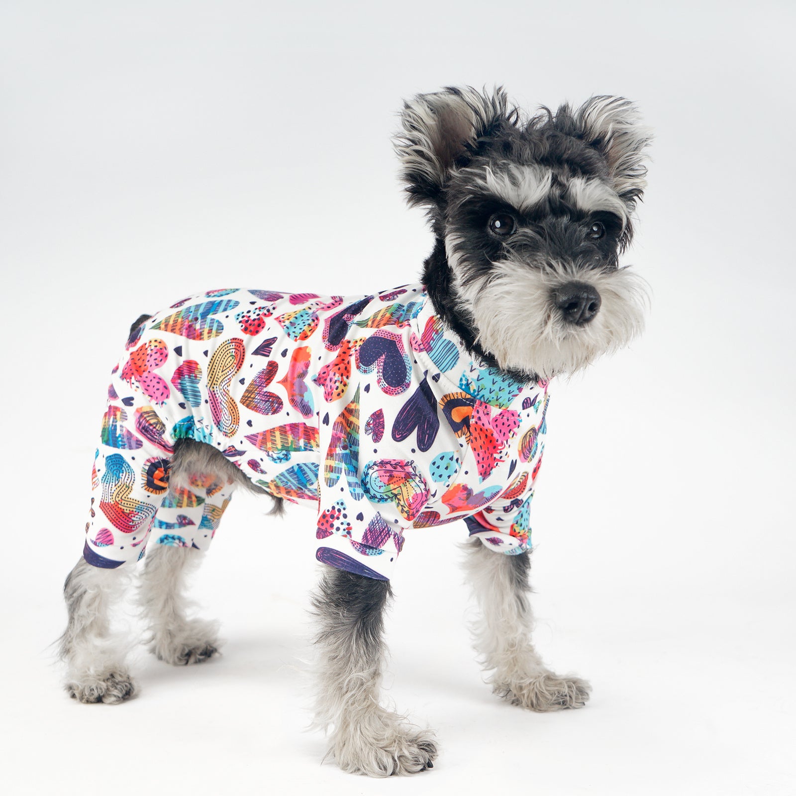 Warm Pet Sweater for Dogs & Cats