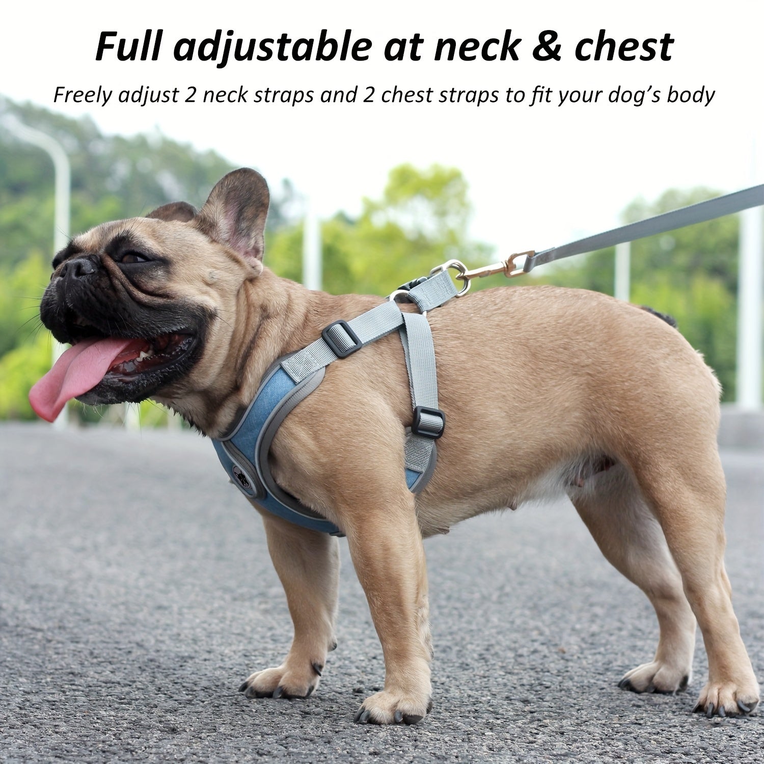 Comfortable Dog Harness Vest