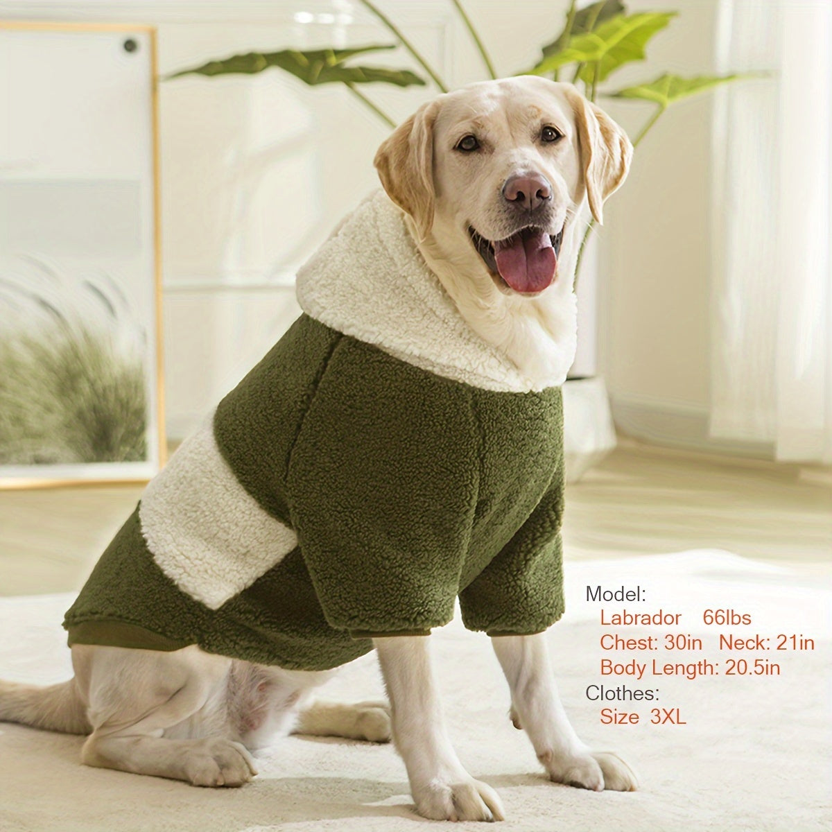 Warm Dog Hoodie – Soft & Comfortable