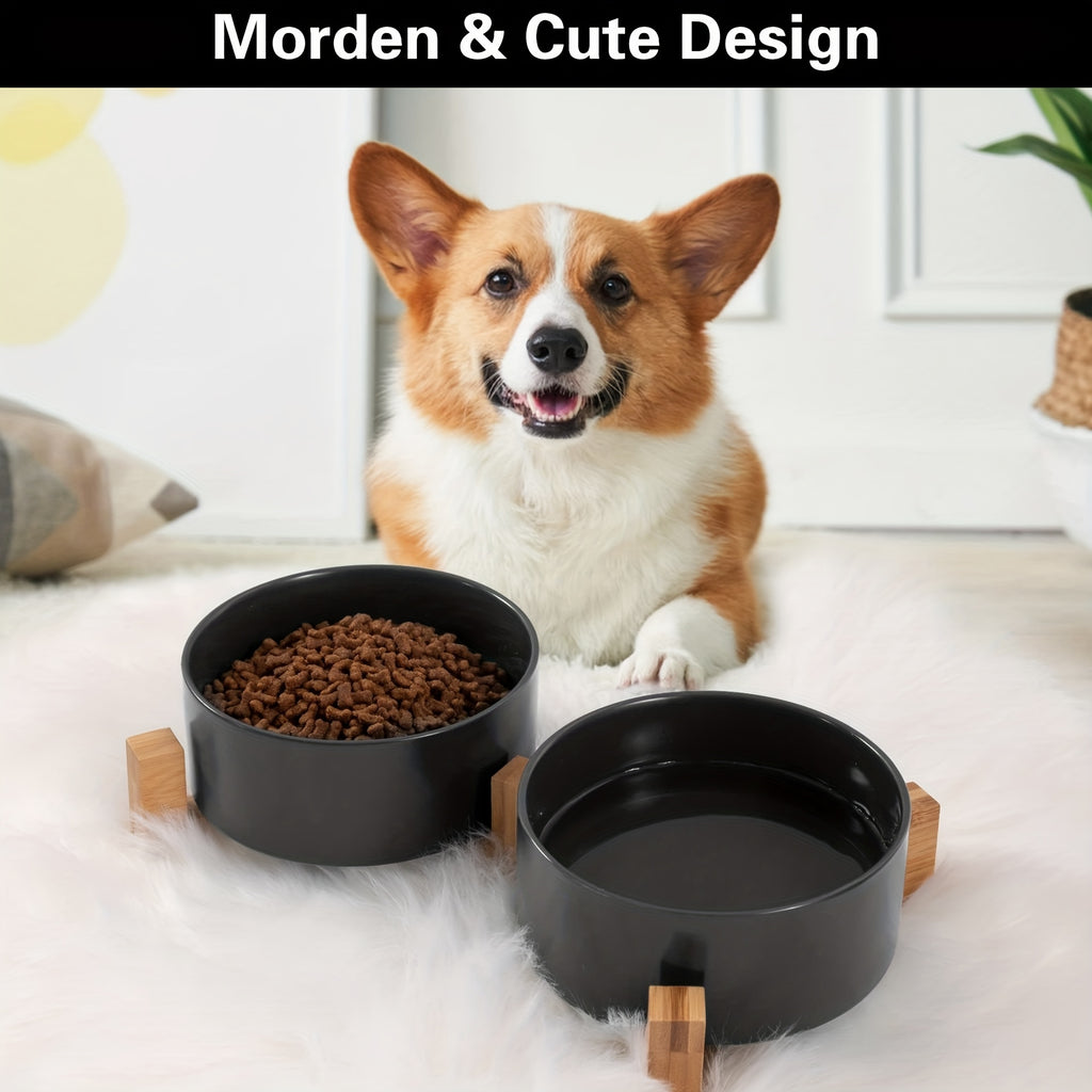 Double Pet Bowl for Food & Water