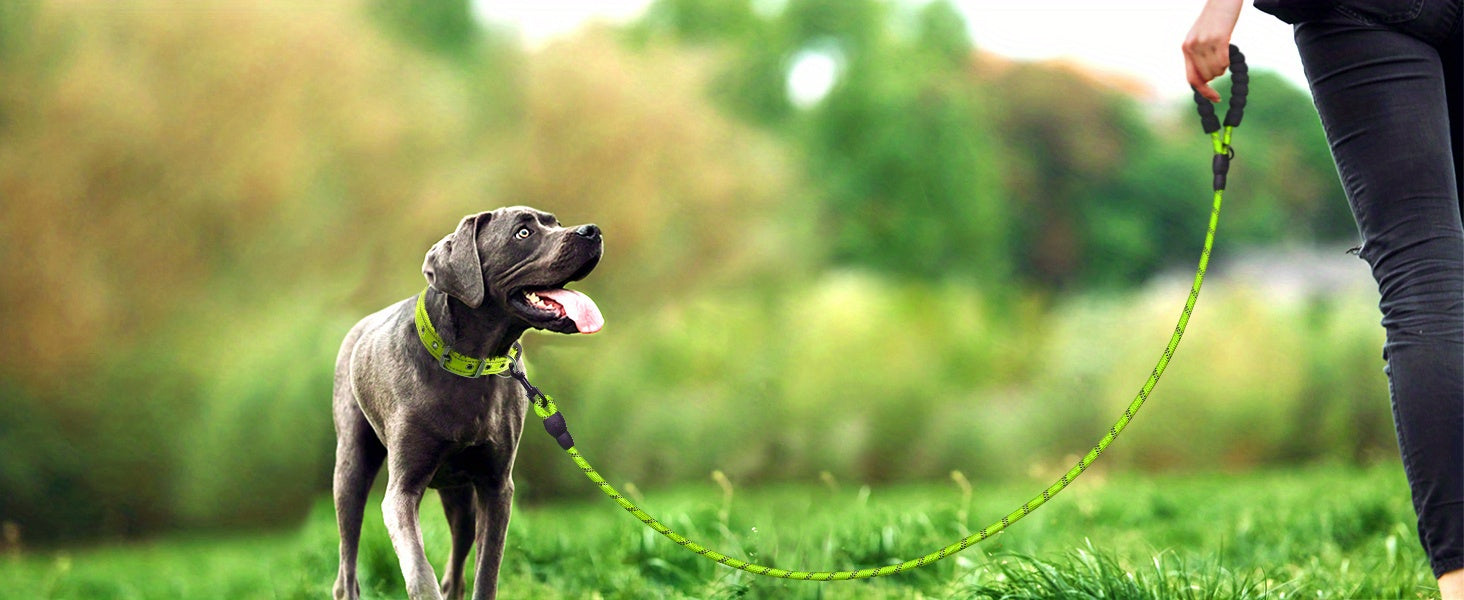 Durable Dog Leash for Daily Walking