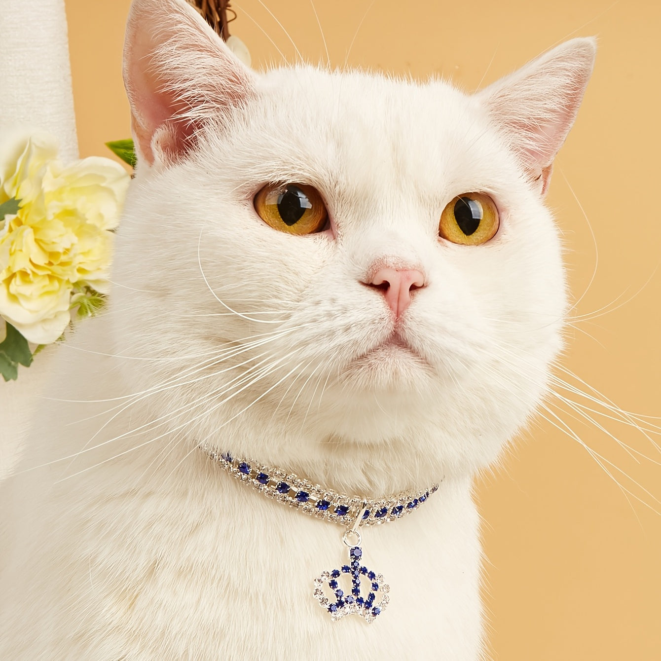 Rhinestone Crown Pet Necklace – Luxury Accessory