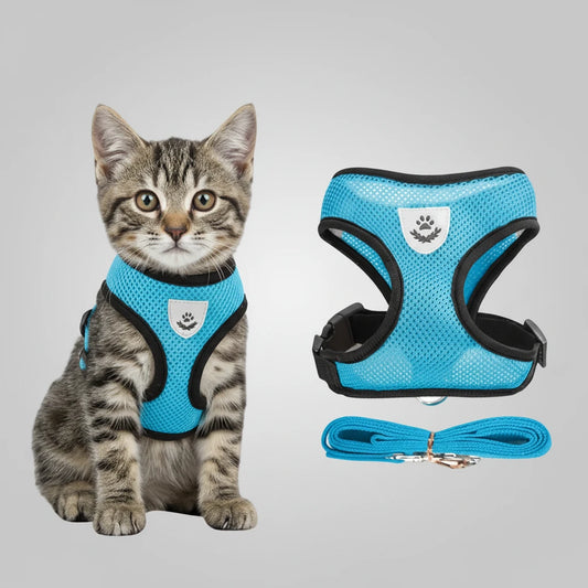 Cat and small dog harness