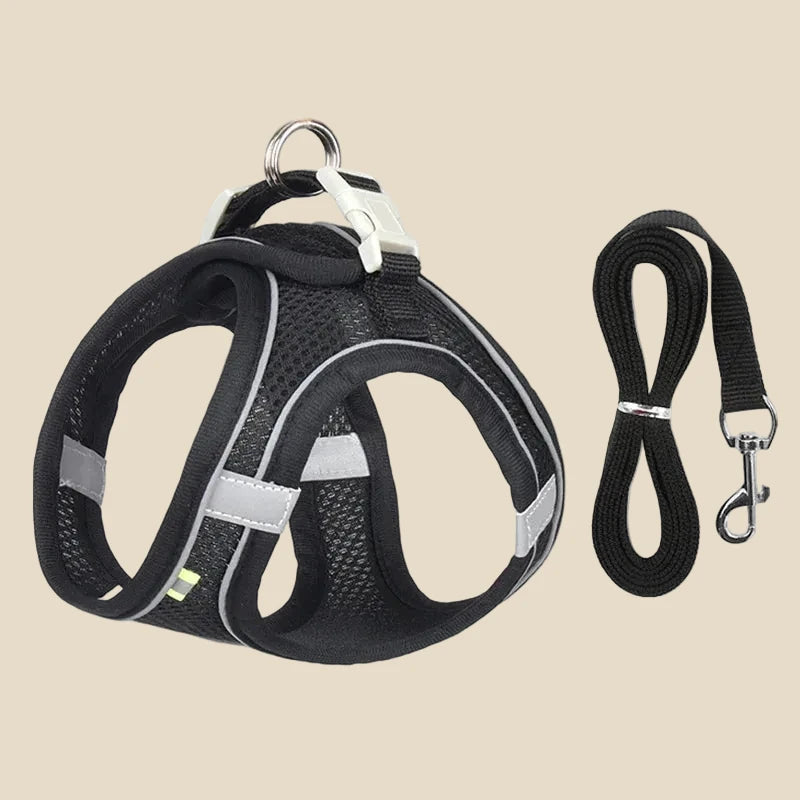 puppy harness set