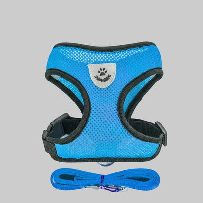 Chihuahua pug small dog cat  harness fit