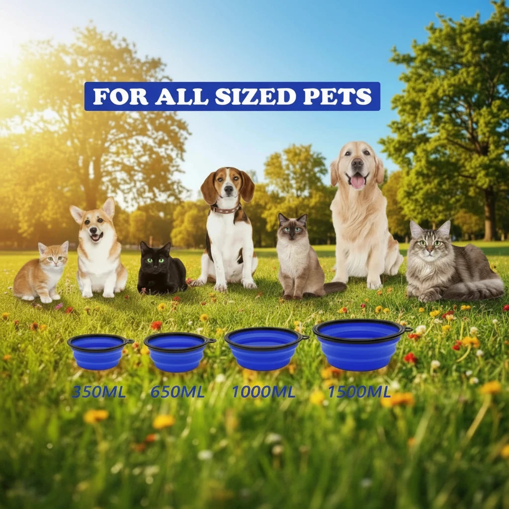 Collapsible pet bowls with dogs and cats in a park different sizes