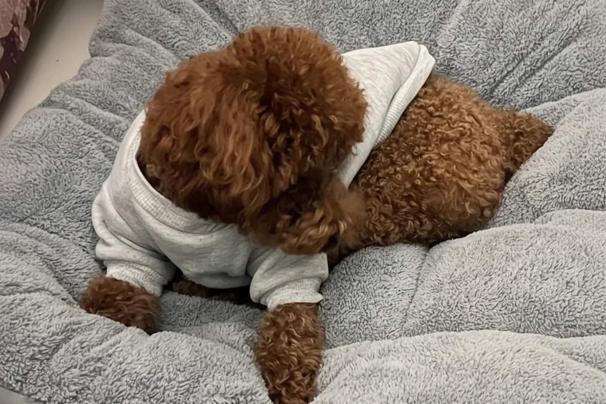 Large dog bed soft cushion