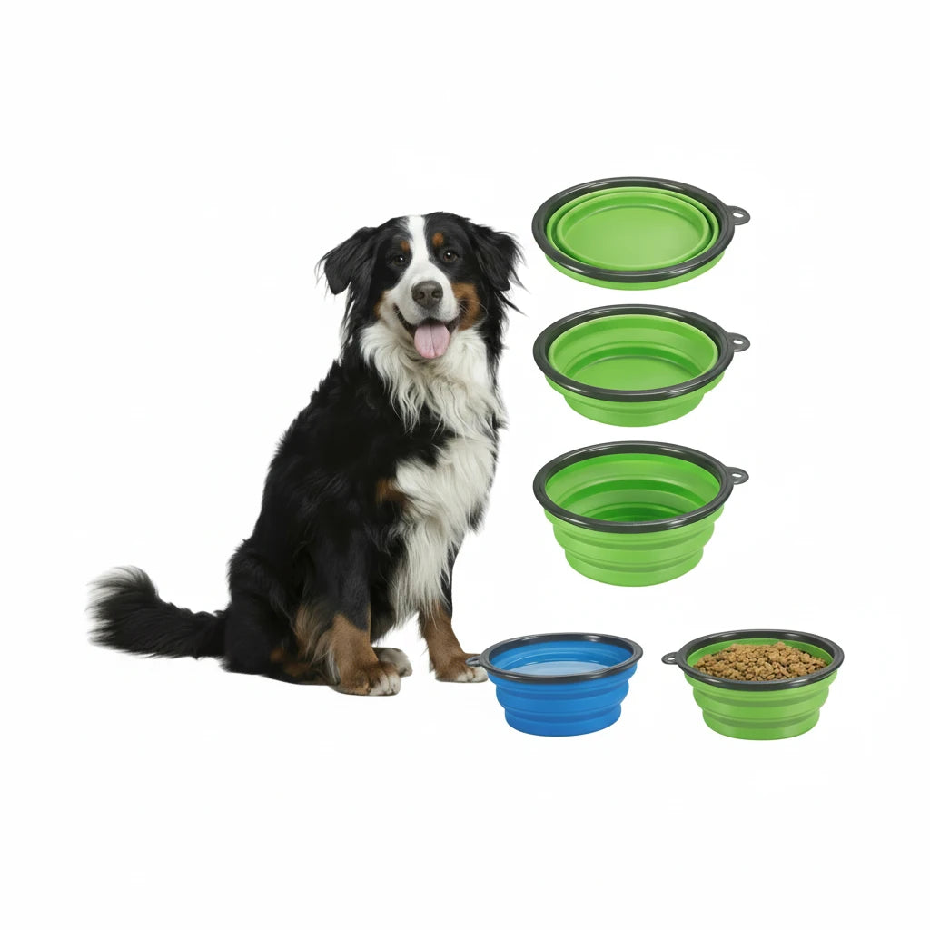 Dog and cat collapsible pet bowls for food or water in different colors and sizes for travel