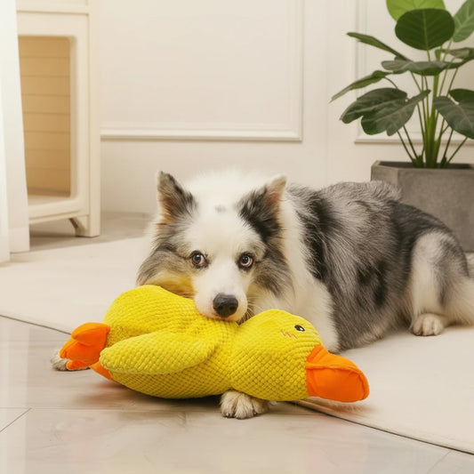 Durable duck dog toy for aggressive chewers