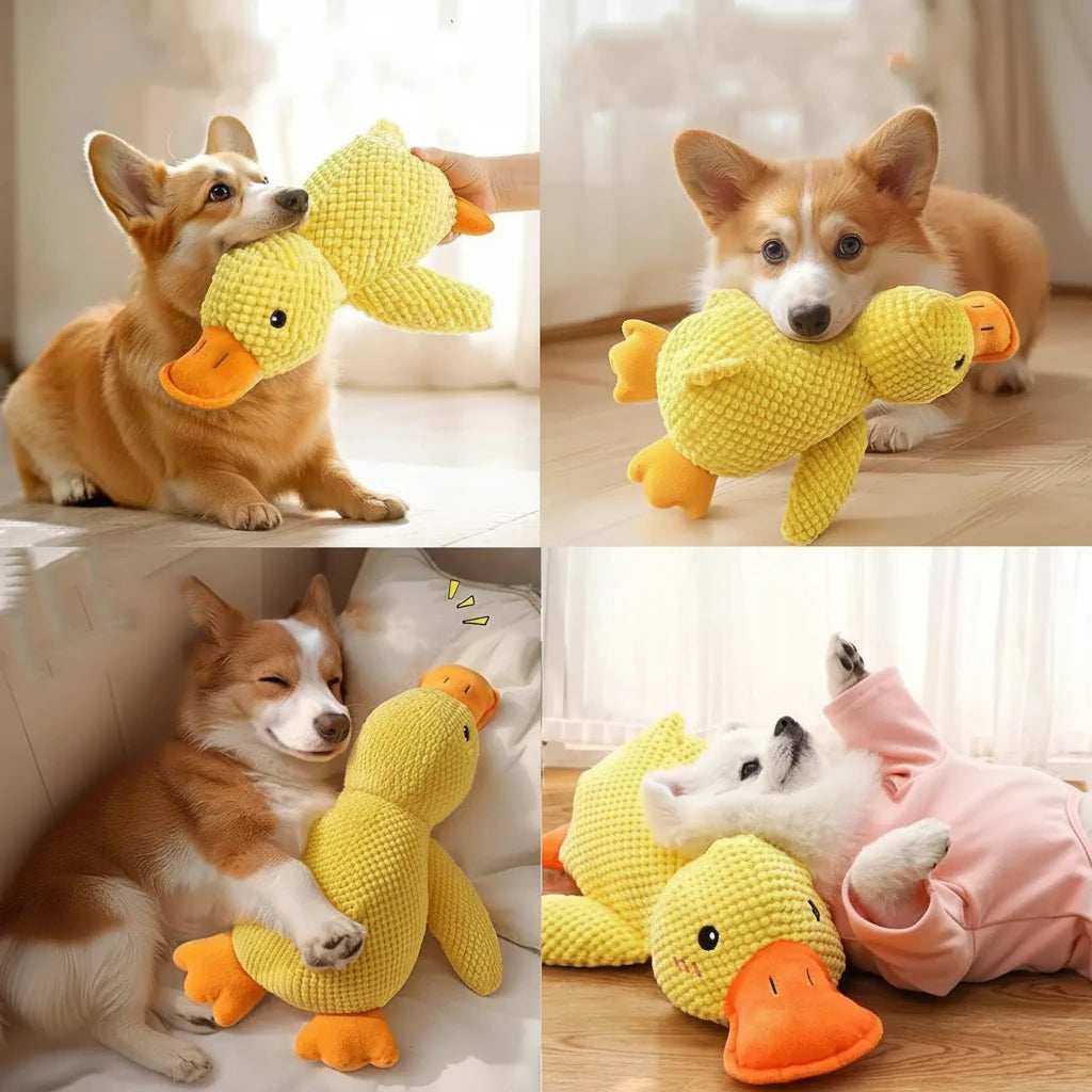 Plush dog toy with quacking sound close-up