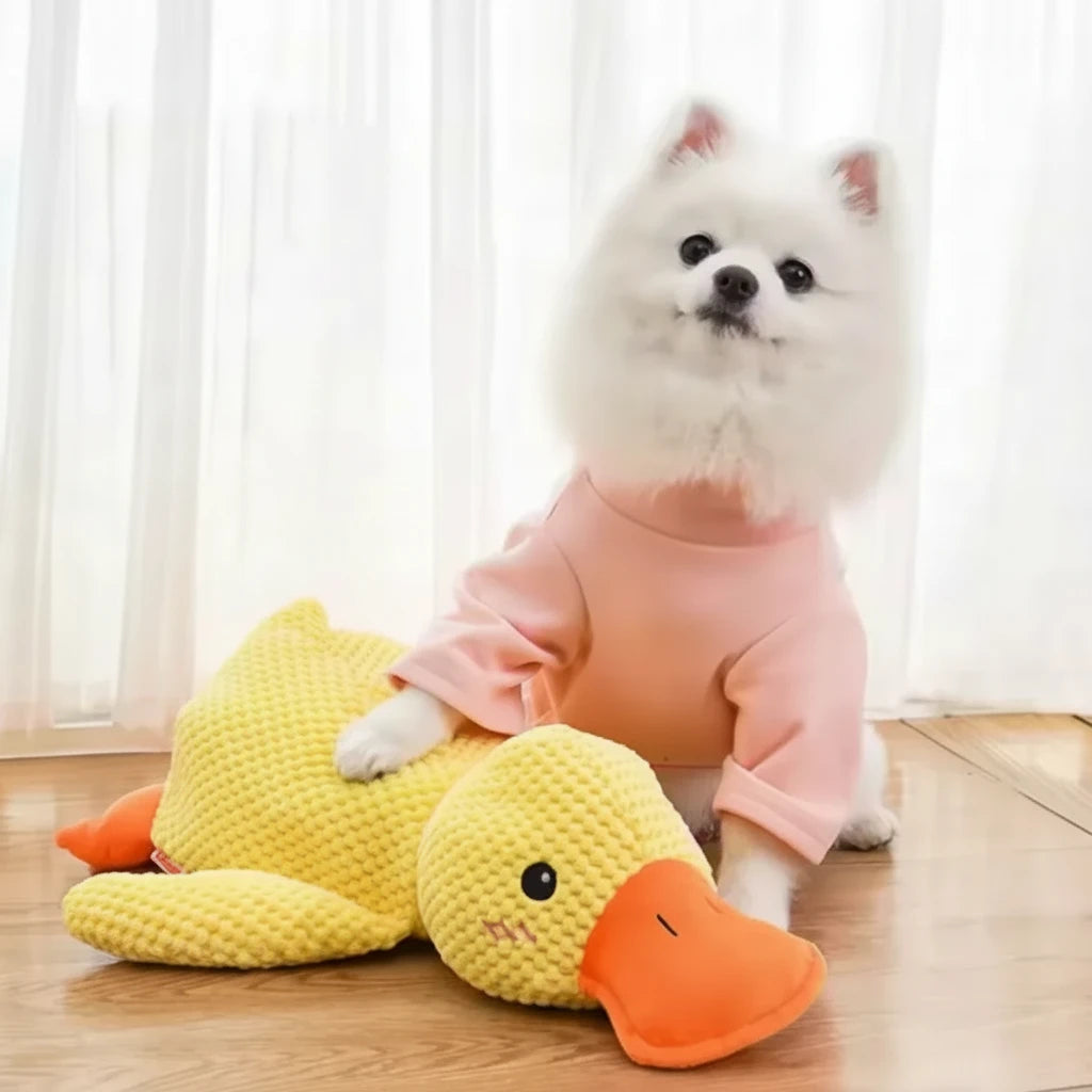 Duck dog toy plush chew resistant with sound