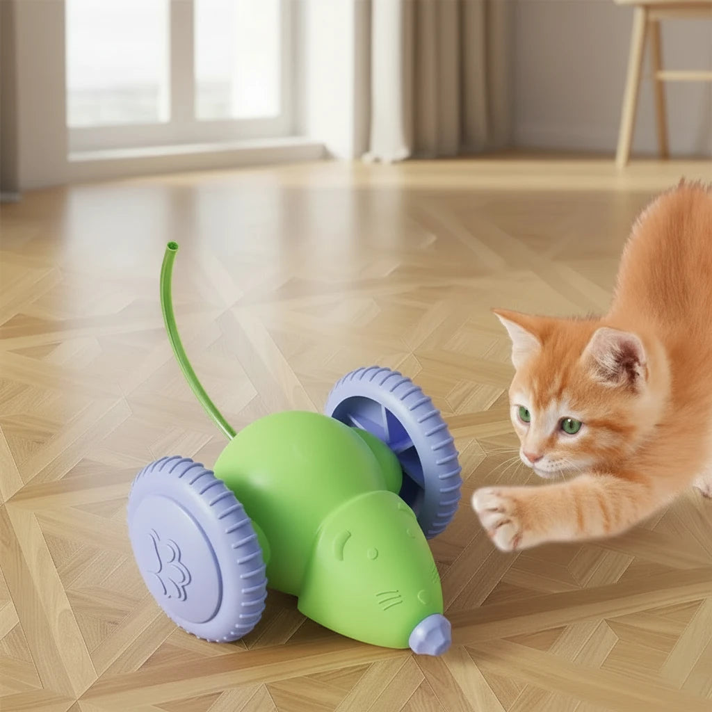 Automatic cat toy obstacle avoidance