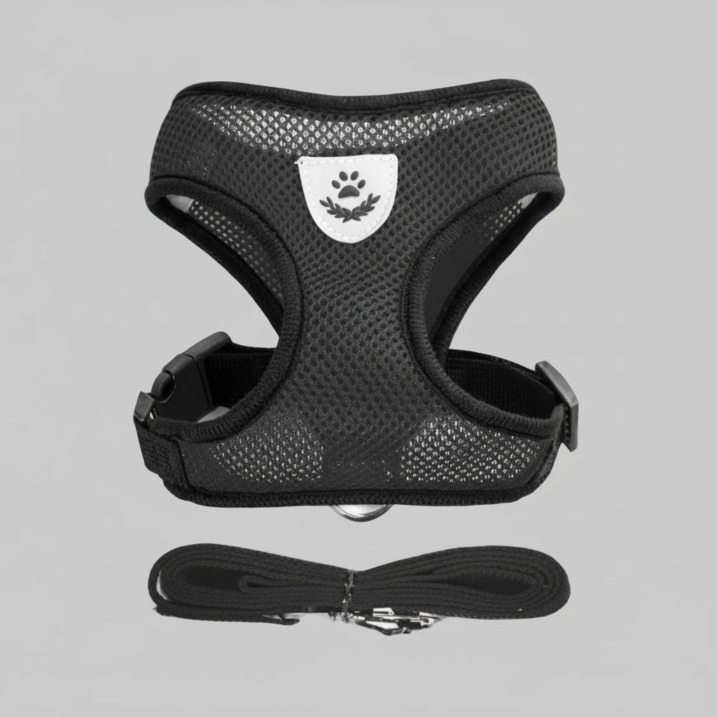 Pet harness leash attachment