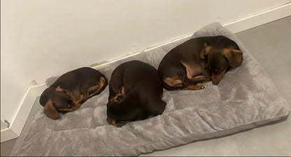 Plush polyester pet mat