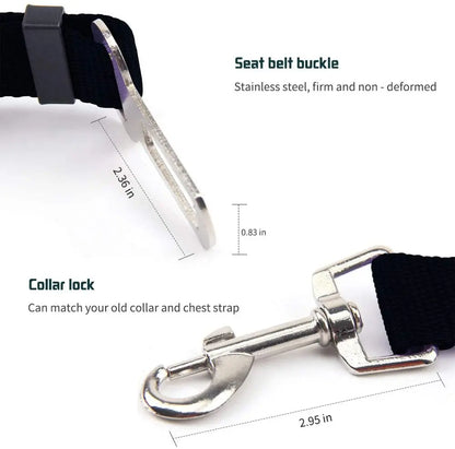 Dog travel safety accessory close-up