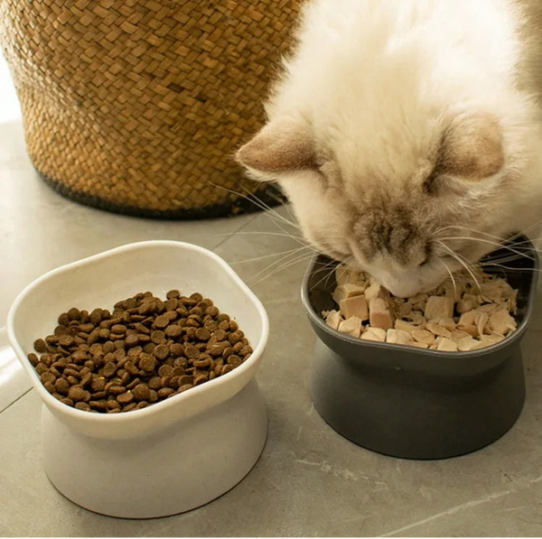 Anti-Slip Plastic Pet Bowl for Dogs & Cats