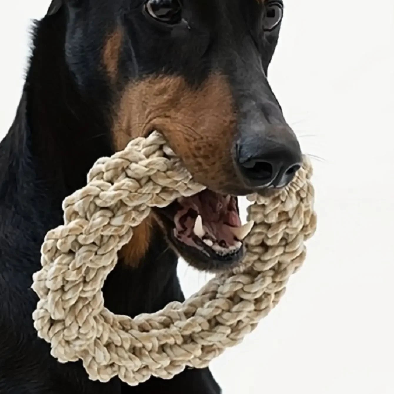 Bite Resistant Rope Toy for Dogs | Durable Chew & Tug Toy