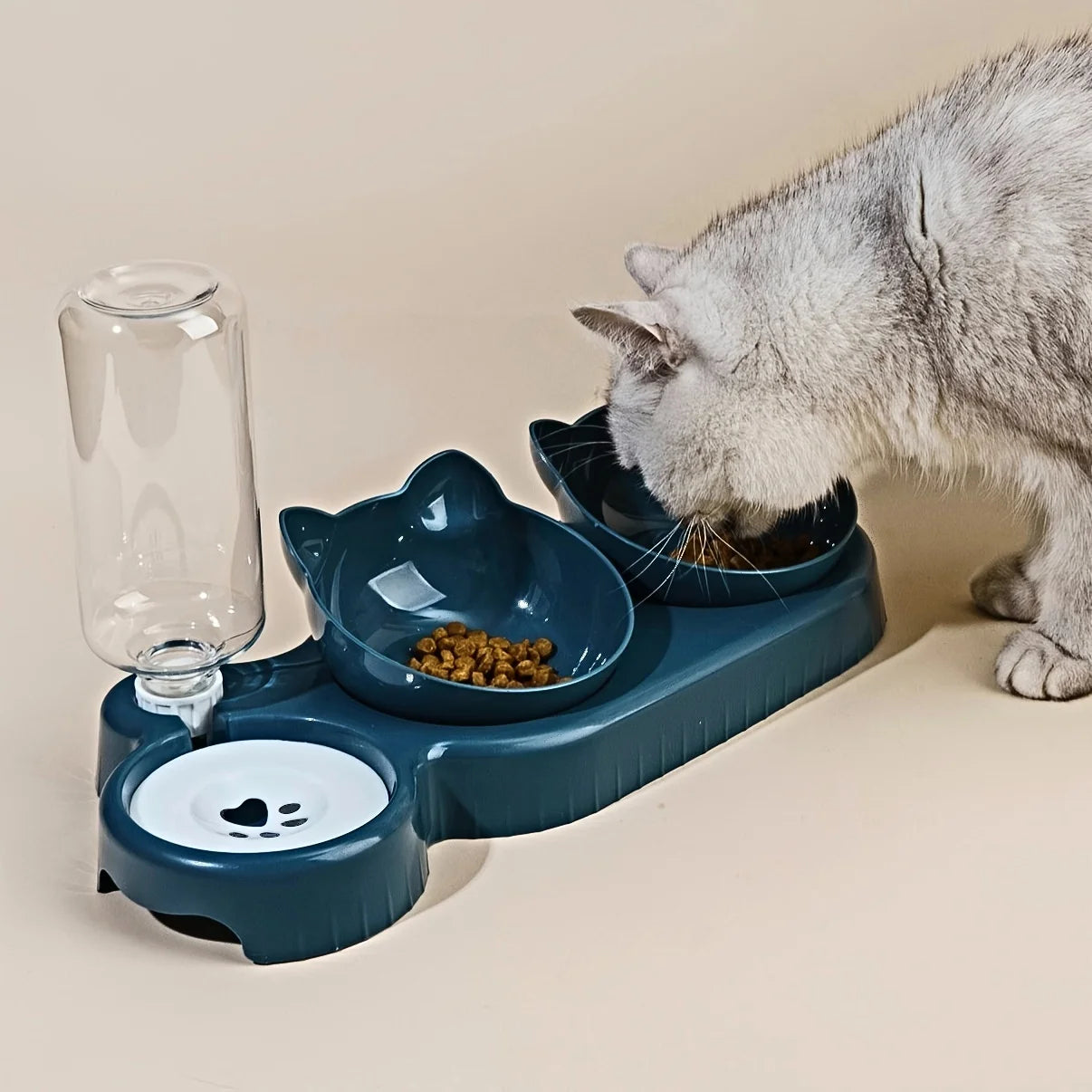 Pet Bowls with Automatic Water Feeder