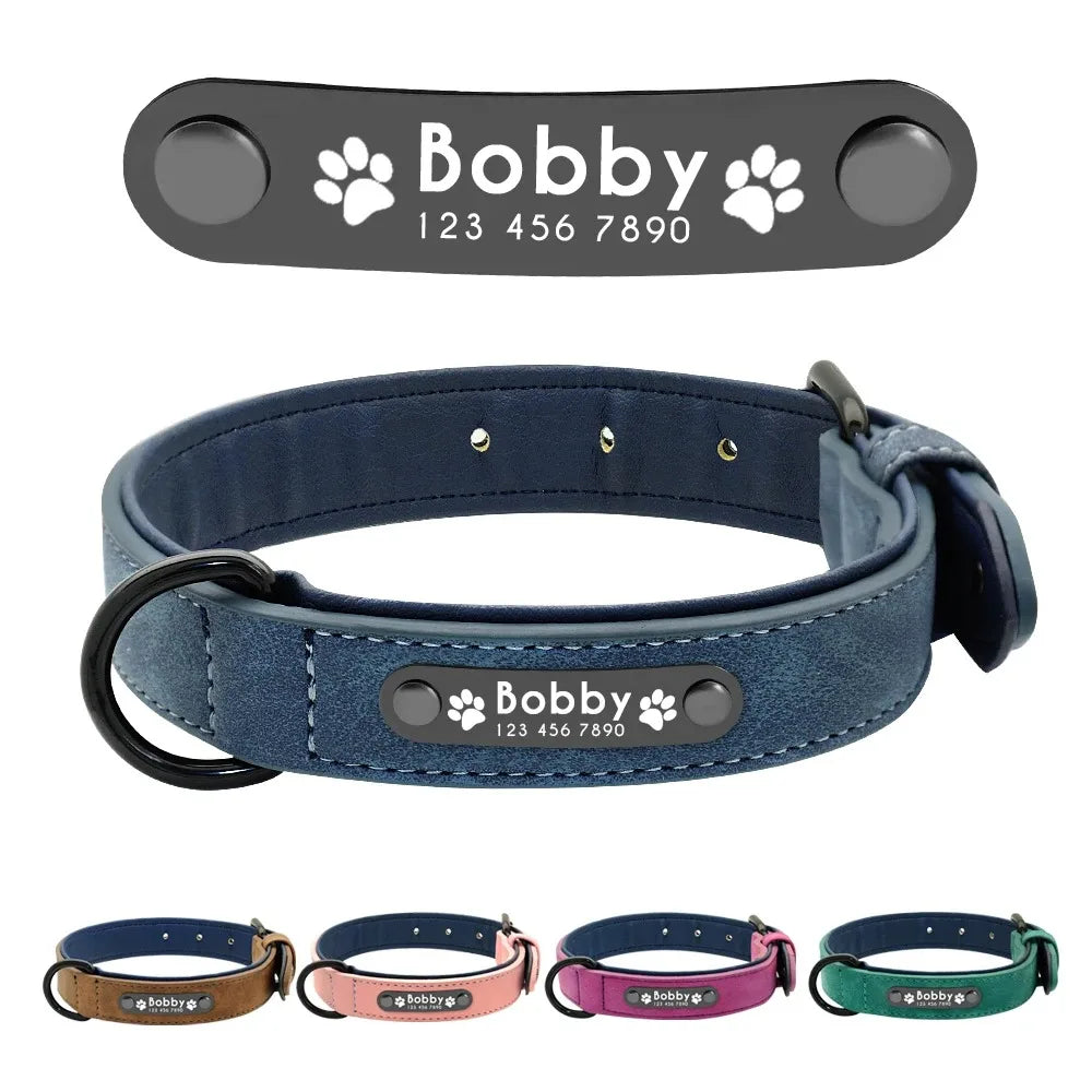 Personalized Pet ID Name Tag for Dogs & Cats