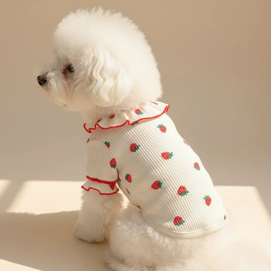 Dog Spring Summer Clothes | Cute Strawberry Breathable Vest