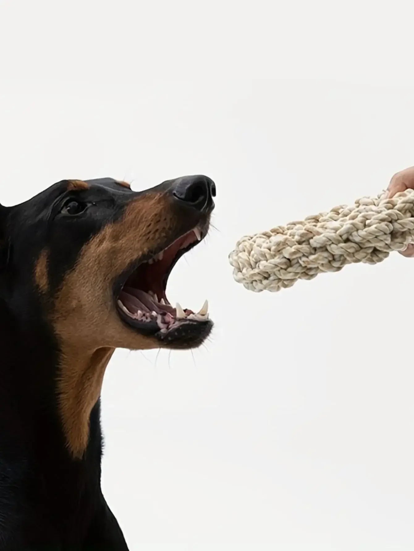 Bite Resistant Rope Toy for Dogs | Durable Chew & Tug Toy