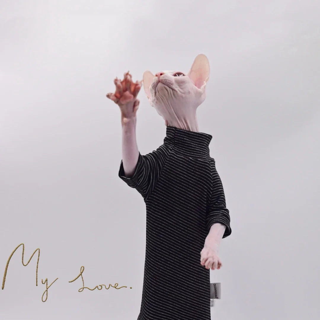 Warm Sweater for Hairless Cats