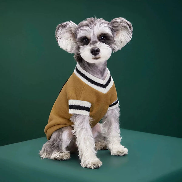 Warm Sweater for Small Dogs & Cats