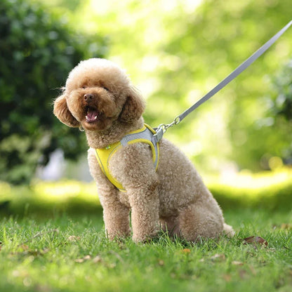 Adjustable pet harness close-up