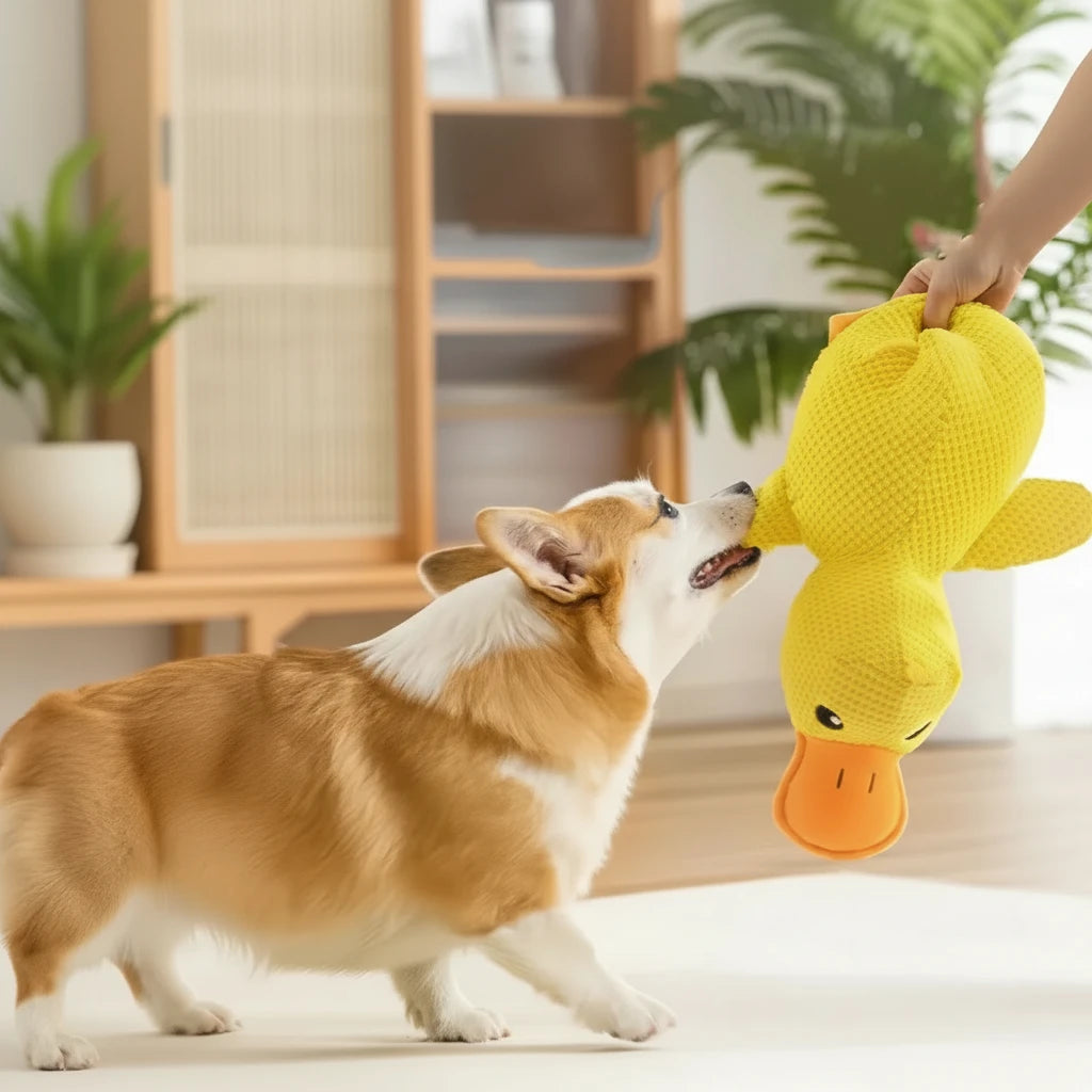 Durable stitching dog chew toy detail