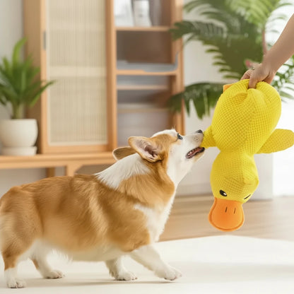 Durable stitching dog chew toy detail