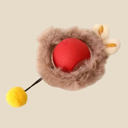 indoor cat enrichment, self moving cat ball