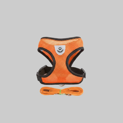 Orange dog cat harness with black straps and a matching leash