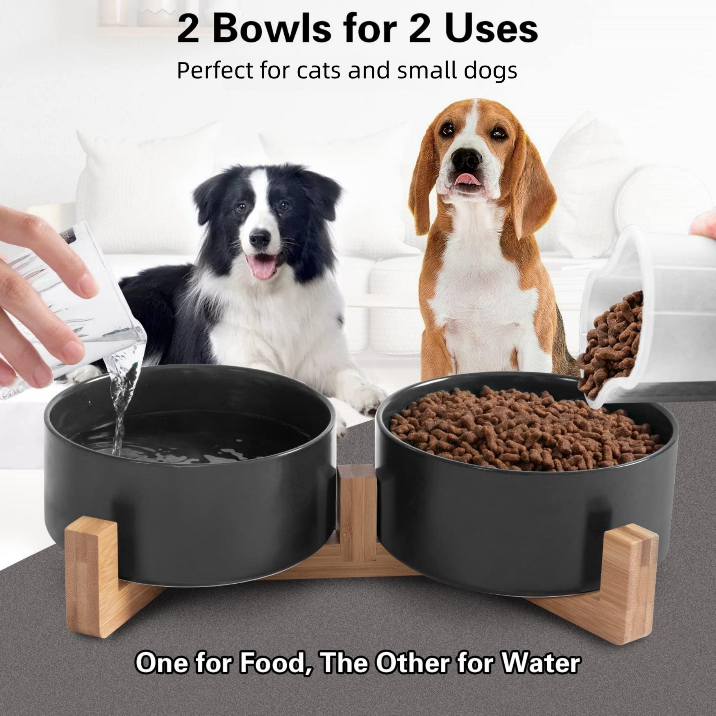 Double Pet Bowl for Food & Water