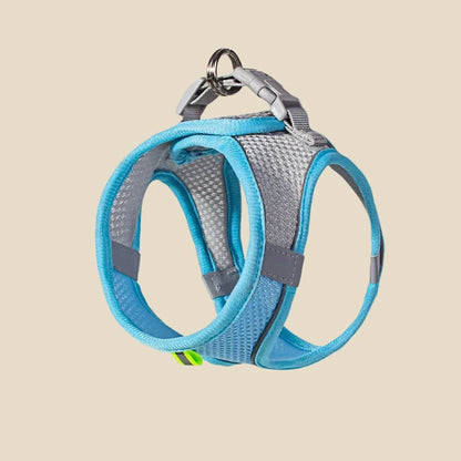 dog harness with leash