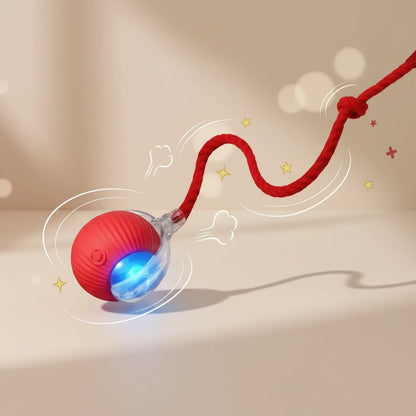 kitten chasing smart motion cat toy