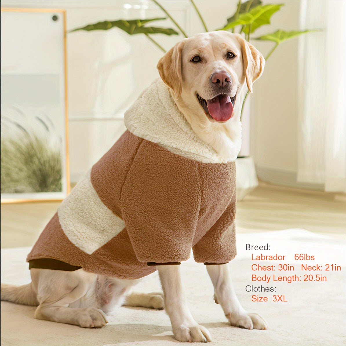 Warm Dog Hoodie – Soft & Comfortable