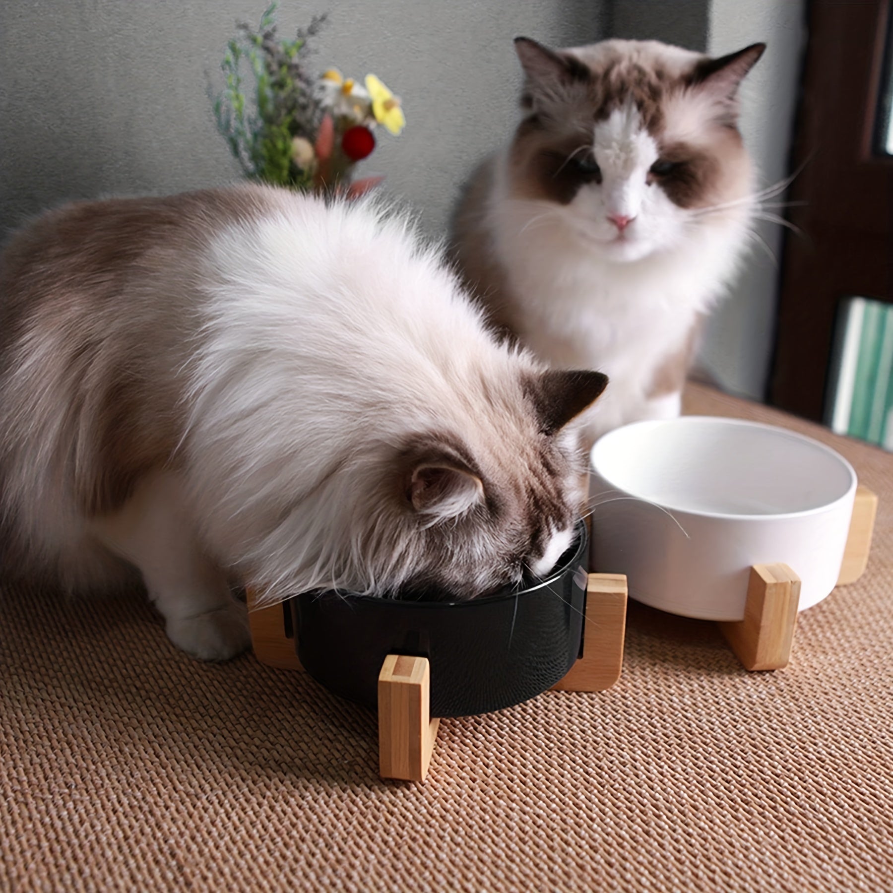 Double Pet Bowl for Food & Water