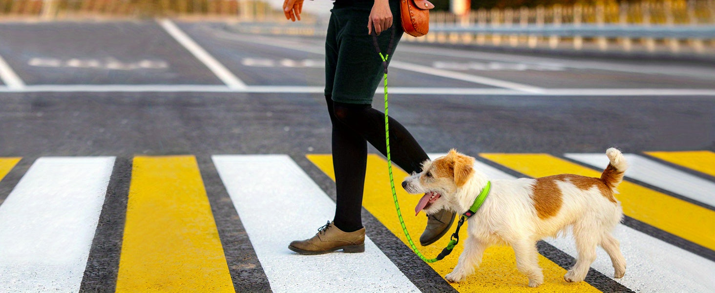 Durable Dog Leash for Daily Walking