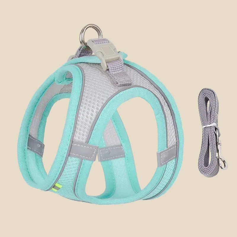 french bulldog puppy