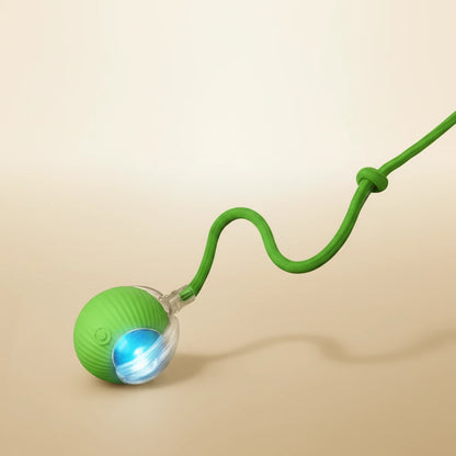 automatic cat toy ball moving on hardwood floor