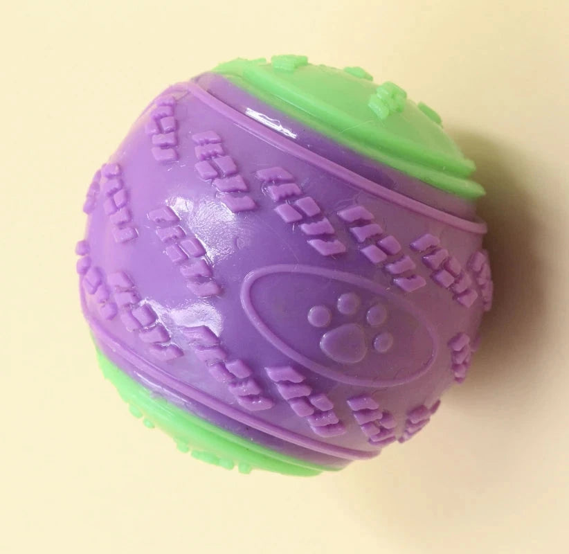 squeaky dog toy indoor play