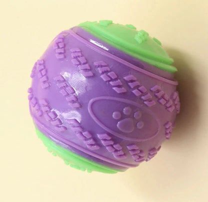 squeaky dog toy indoor play