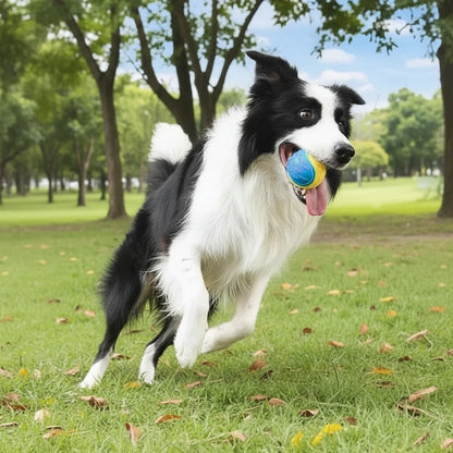 dog chew ball durable