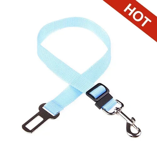 Light blue dog leash with black clip and car seat belt adapter