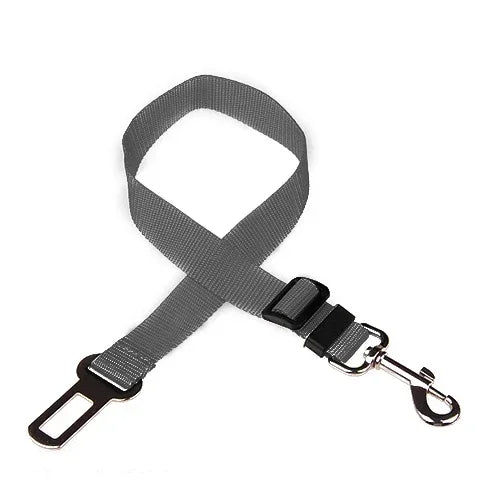 Gray dog leash with black clip 